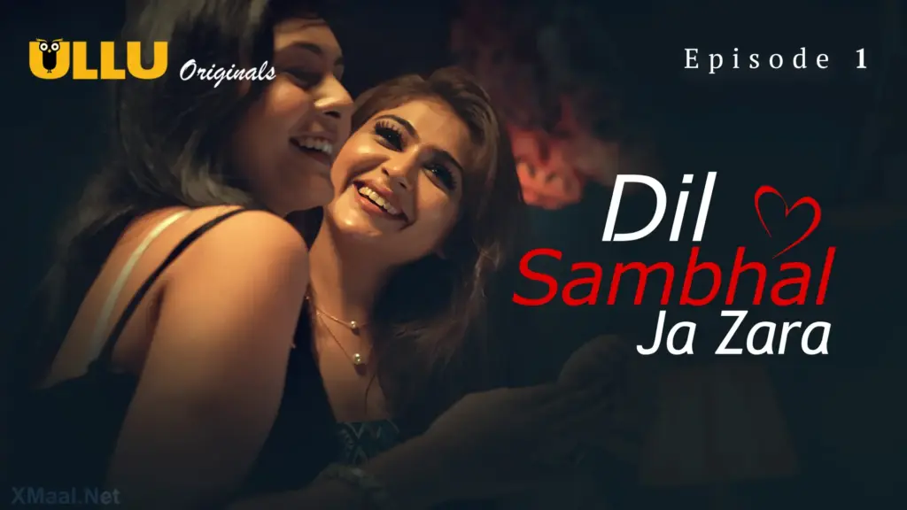 Dil Sambhal Ja Zara web series