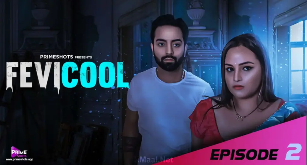 Fevicool S1 web series