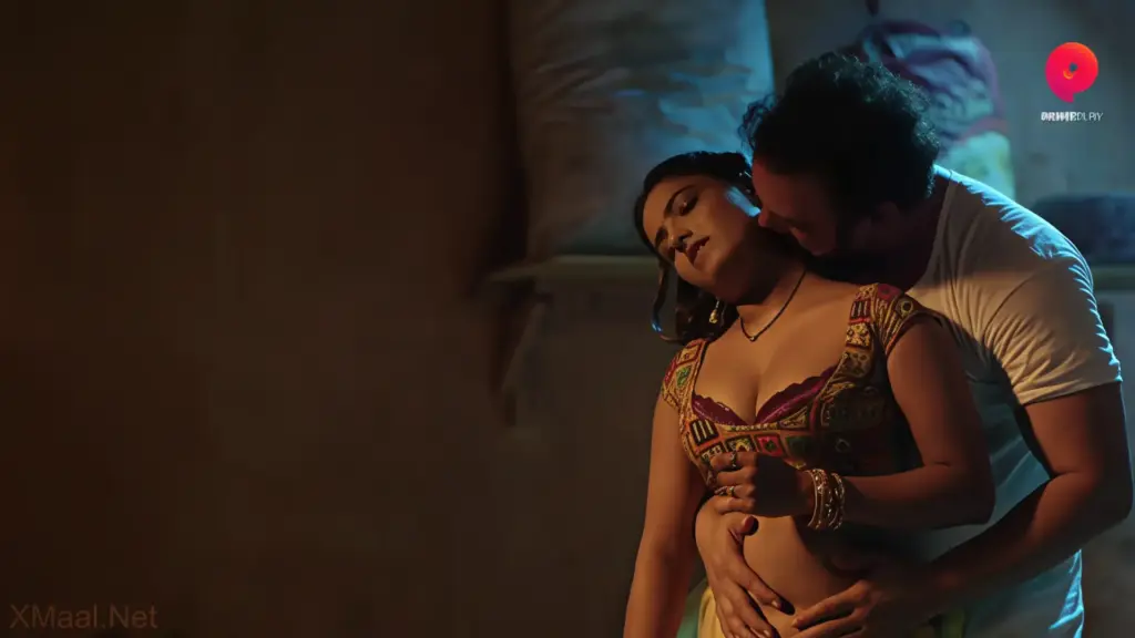 Pehredaar S2 web series